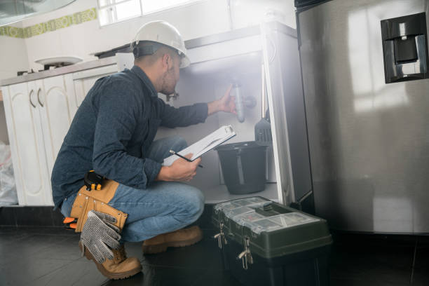 Best Local Plumber Services  in Stickney, IL