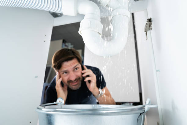 Best Septic Systems  in Stickney, IL